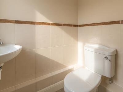 Picture 16
